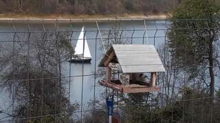 Дома для отпуска Domek Nad River San Olchowiec Дом для отпуска-14